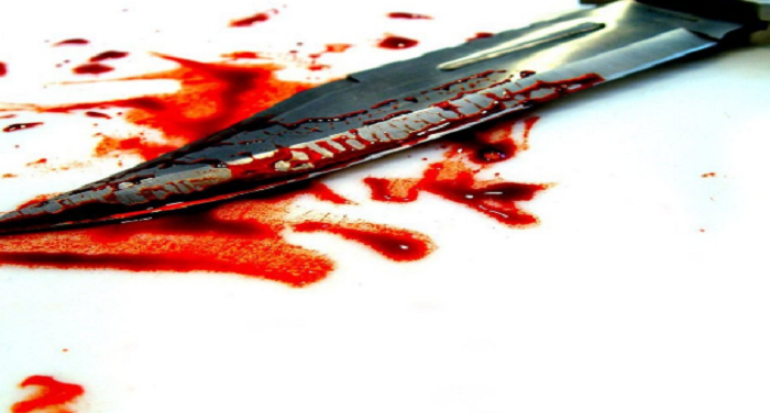 Untitled 37 सास-बहू की हत्या, पूरे घर में फैला खून ही खून
