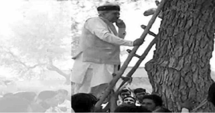 bjp डिजिटल इंडिया की खुली पोल, सिग्नल न मिलने पर पेड़ पर चढ़े बीजेपी मंत्री