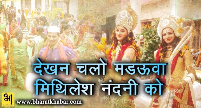 nandini रामनगरी में राम विवाह की मची धूम, दूल्हा बने राजा राम