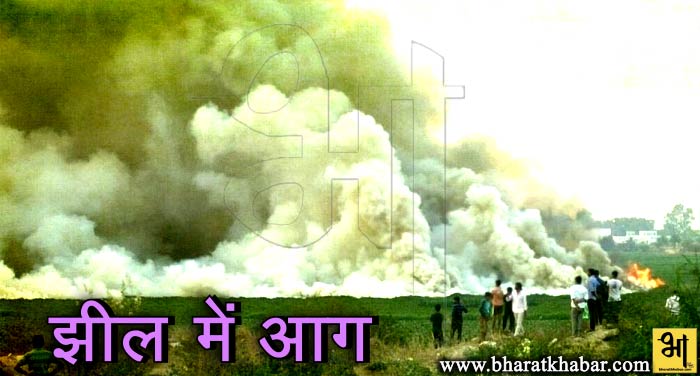 jhil बेलांदुर झील में लगी आग, 5 हजार जवानों के दल ने पाया आग पर काबू