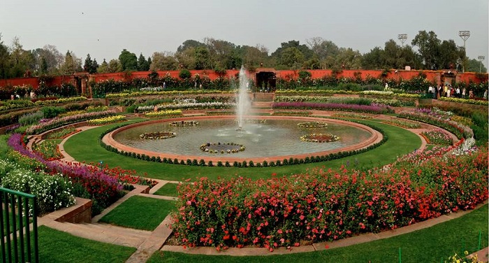 3 22 आम जन के लिए मंगलवार से खुलेगा मुगल गार्डन, रेनिनकुलस है इस बार खास